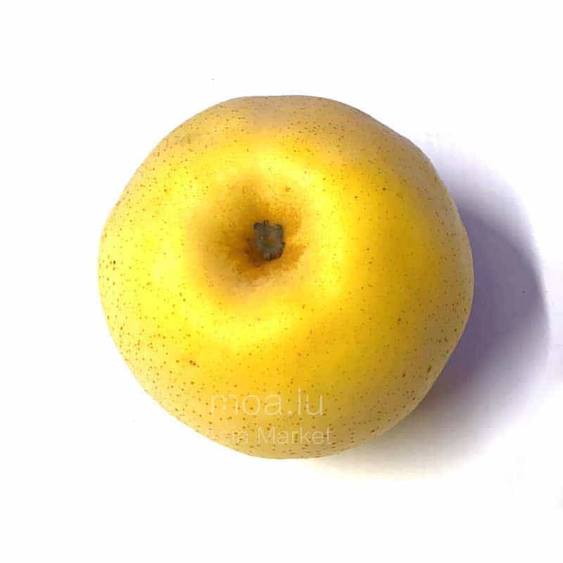 黄金梨Chinese Pear