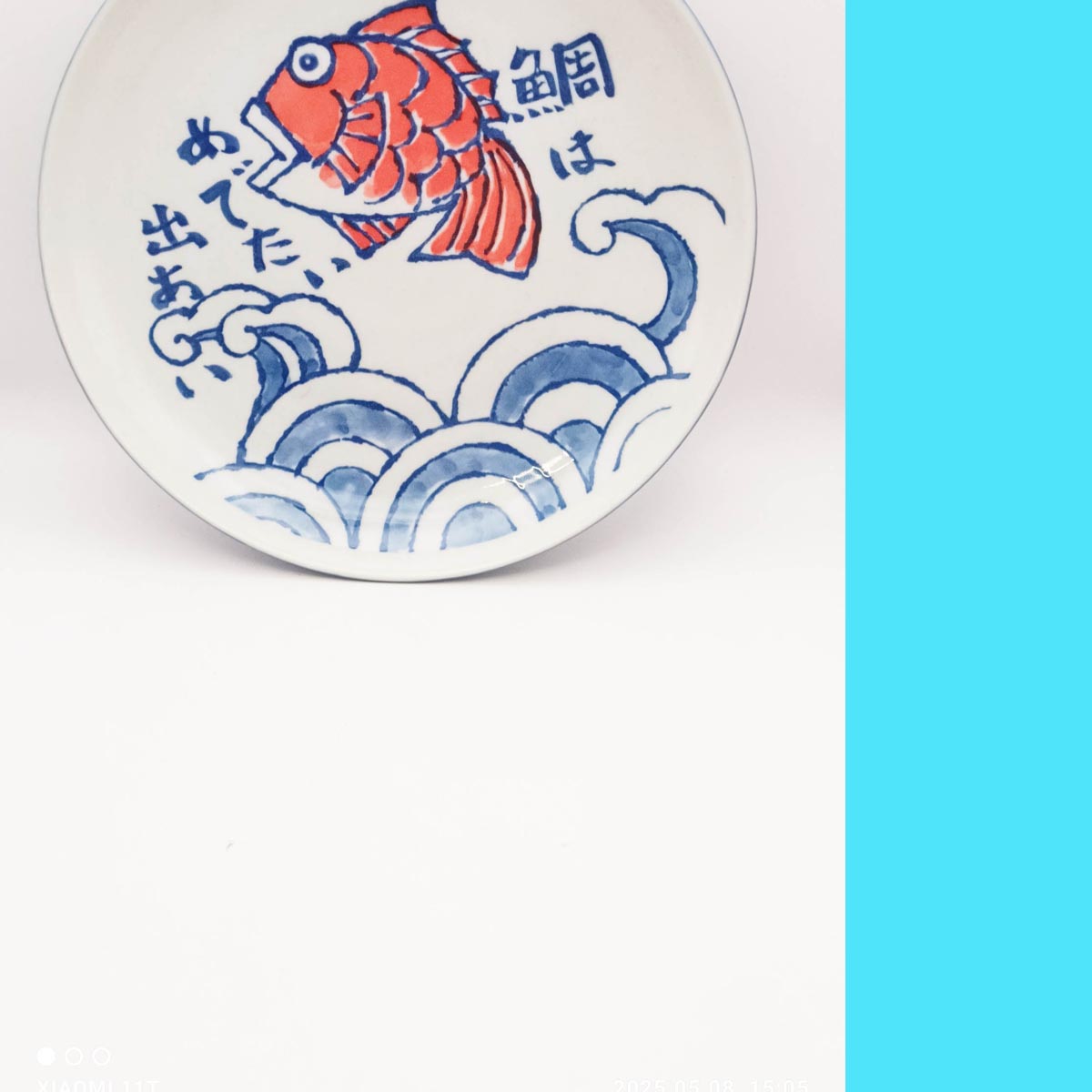 Plat Sakana 24.5cm / H4