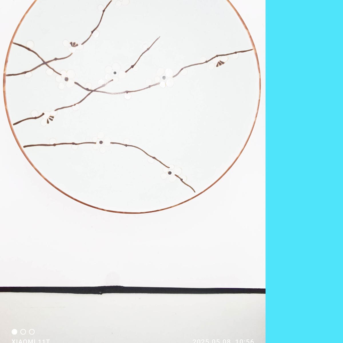 Scale 24.5x8cm Soshun