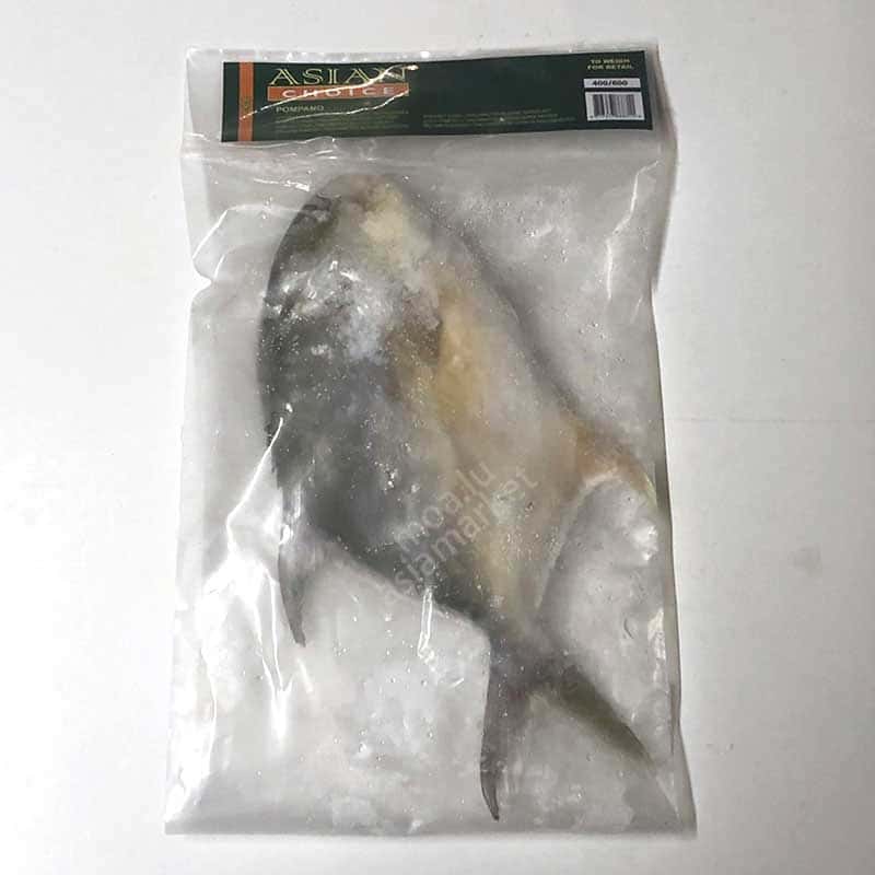 金鲳鱼Pompano 400/600