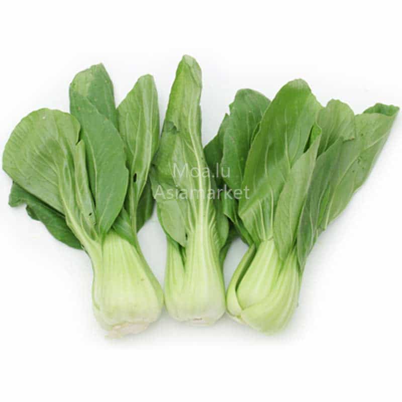 Mini Shanghai 迷你上海青