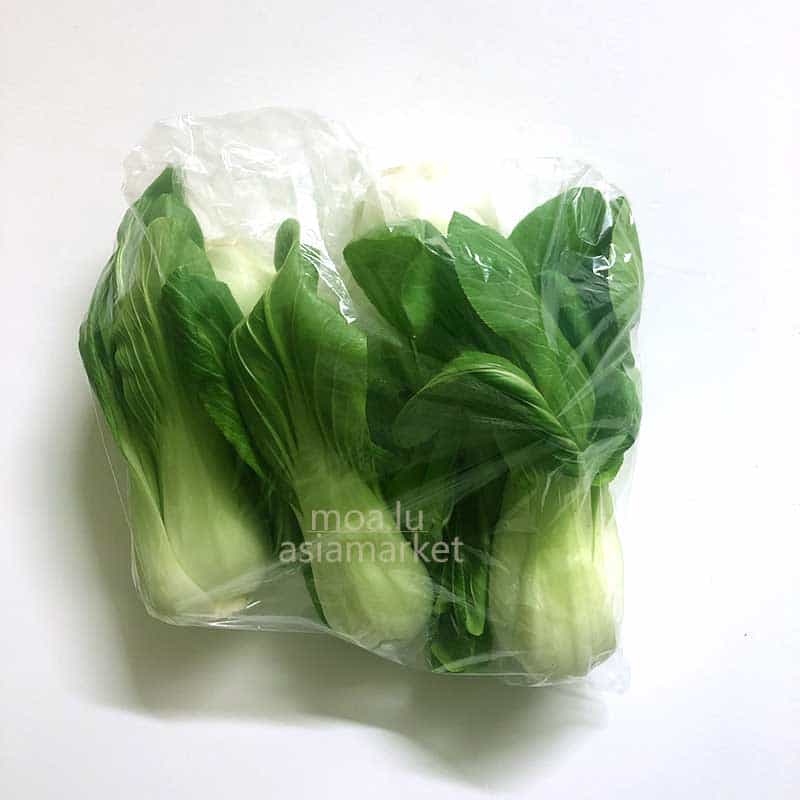 上海青 Bak Choi shanghai