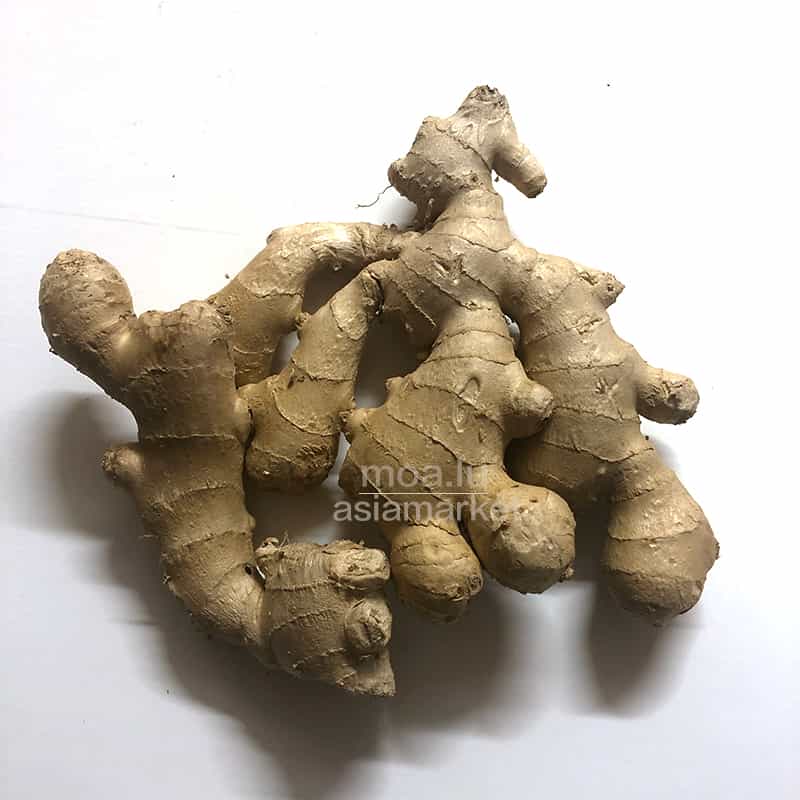 生姜Ginger